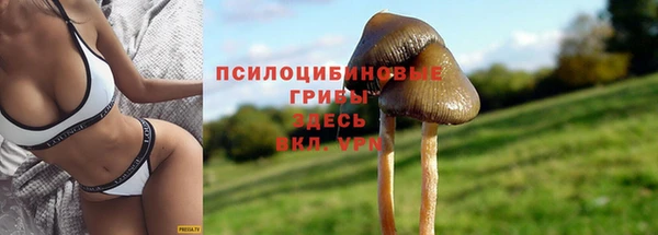 mdma Липки